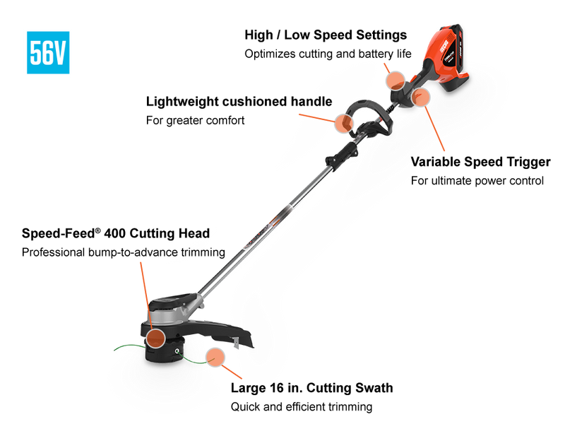 f44b8491-bcc6-4bd5-def3-08dda1d10d2b